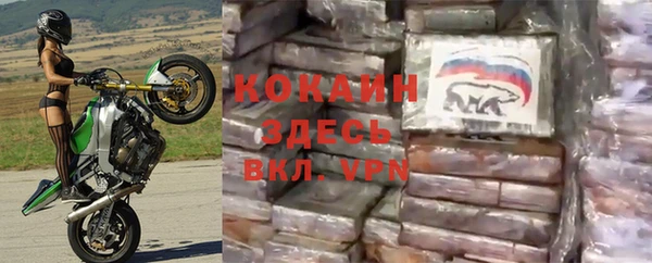 твердый Алексин